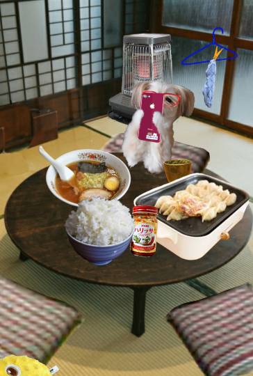 生き物ルーム第51