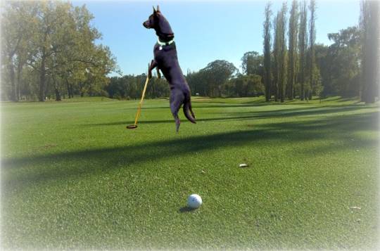 生き物ルーム第52