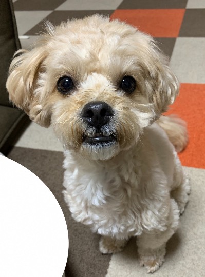 生き物ルーム第52