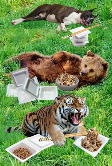 生き物ルーム第51