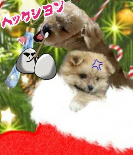 生き物ルーム第52