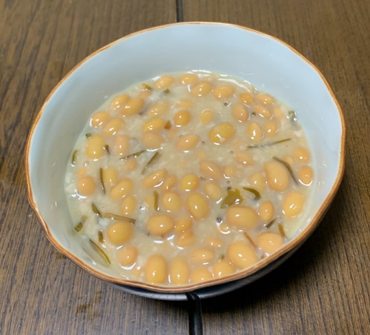 生き物ルーム第51