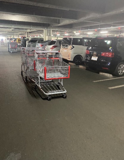 生き物ルーム第51