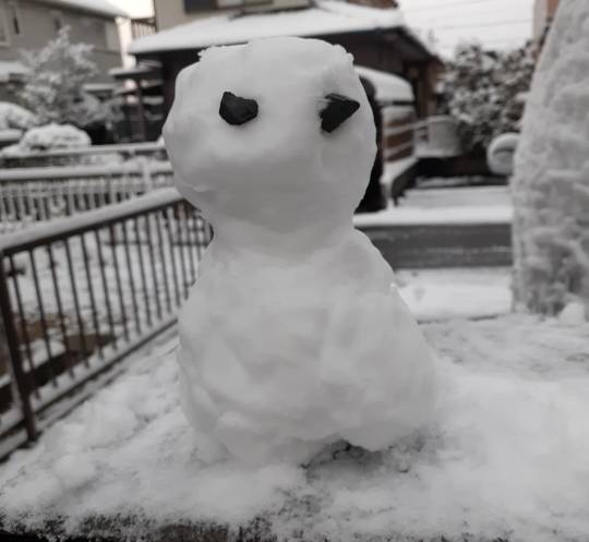 ★ドンキ♡♡ロピア 雑談53★