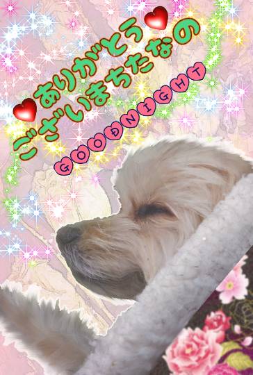 生き物ルーム第52