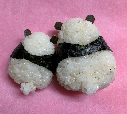 生き物ルーム第51