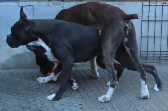 生き物ルーム第52