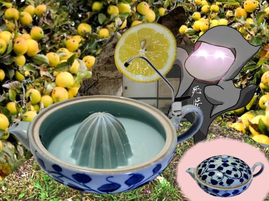 生き物ルーム第51