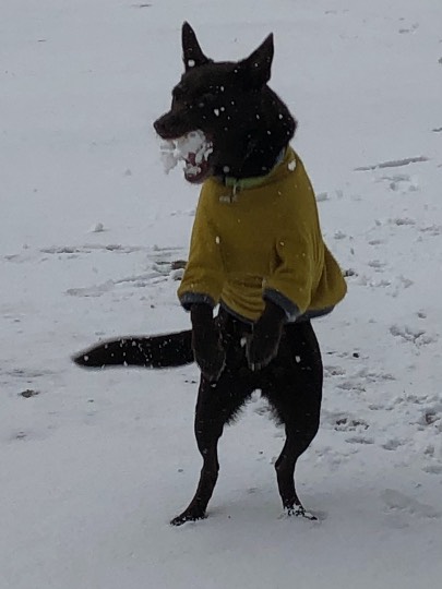 生き物ルーム第52