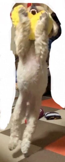 生き物ルーム第52