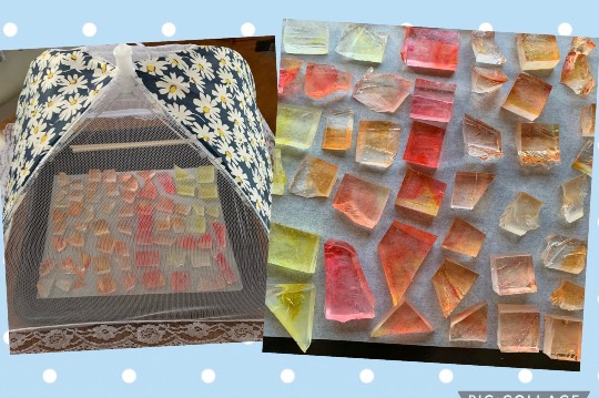 マスク同窓会詰所兼ニューフェイス歓迎所(思いやり)