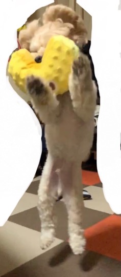 生き物ルーム第52