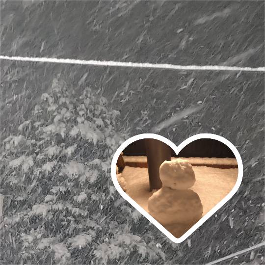 マスク同窓会詰所兼ニューフェイス歓迎所(思いやり)