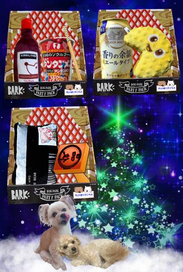 生き物ルーム第51