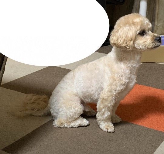 生き物ルーム第52