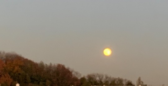 ★ドンキ♡♡ロピア 雑談52★