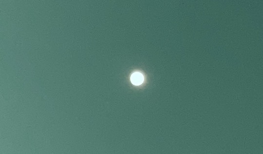 ★ドンキ♡♡ロピア 雑談52★