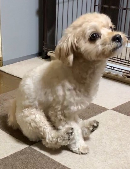 生き物ルーム第52