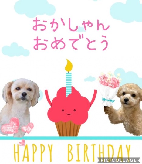 生き物ルーム第51