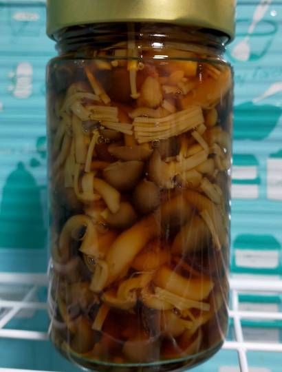 ★ドンキ♡♡ロピア 雑談53★