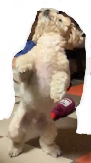 生き物ルーム第52