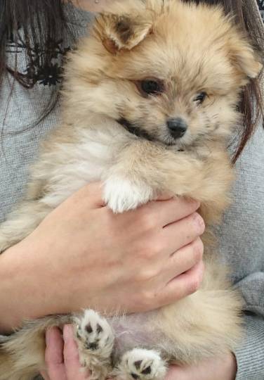 生き物ルーム第52