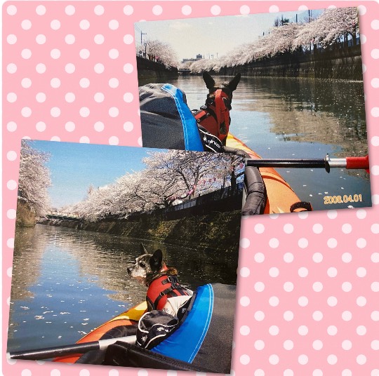 生き物ルーム第51