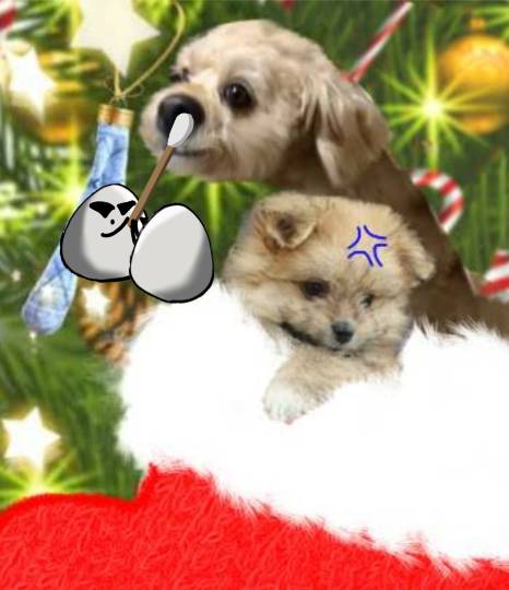 生き物ルーム第52