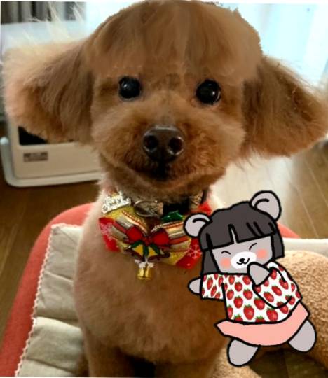 生き物ルーム第51