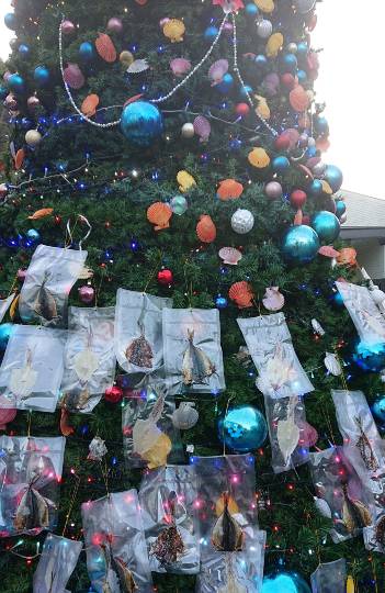 ★ドンキ♡♡ロピア 雑談52★