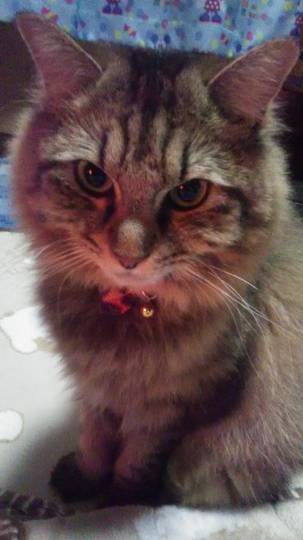 生き物ルーム第52