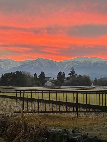 マスク同窓会詰所兼ニューフェイス歓迎所(思いやり)