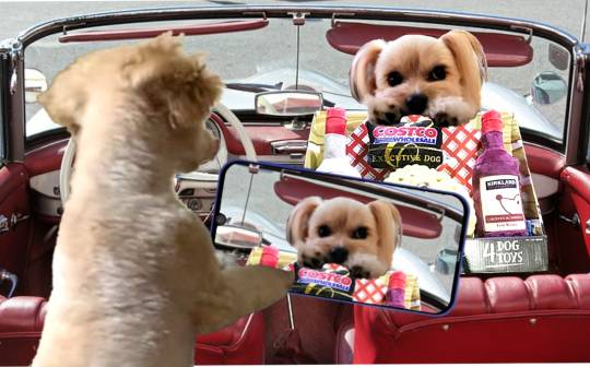 生き物ルーム第51