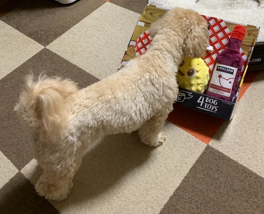 生き物ルーム第51