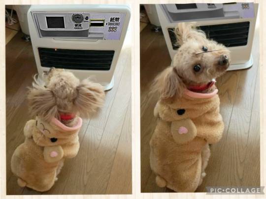 生き物ルーム第52