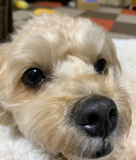 生き物ルーム第52