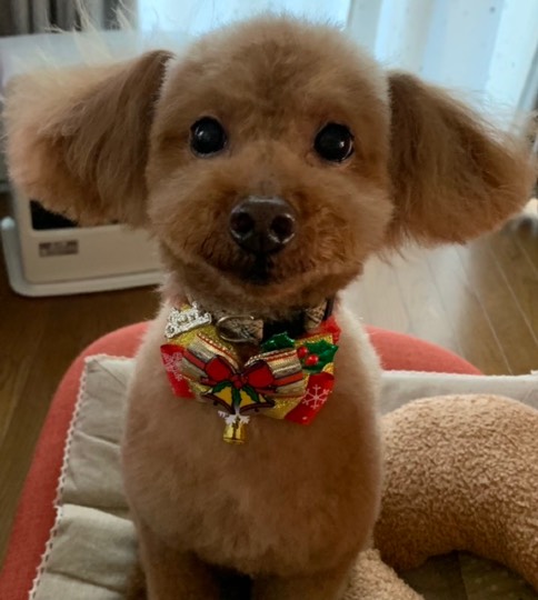 生き物ルーム第51