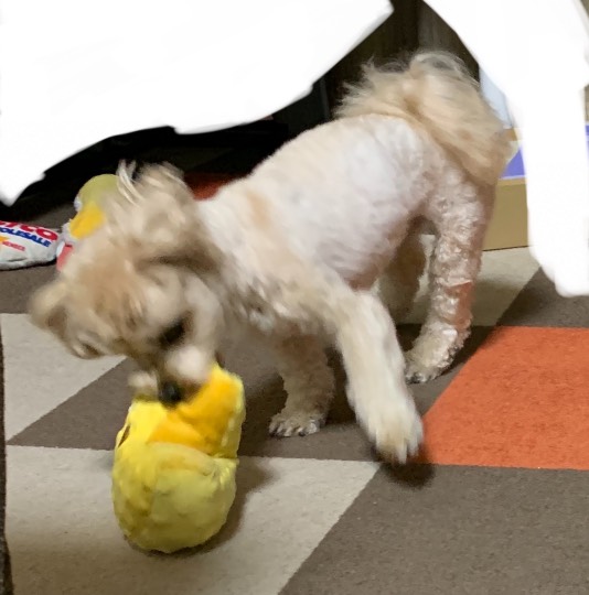 生き物ルーム第51