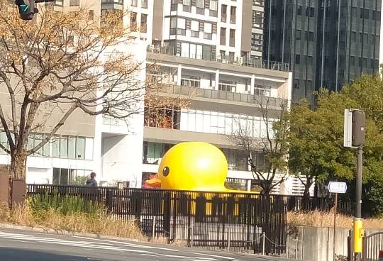 ★ドンキ♡♡ロピア 雑談52★