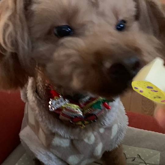 生き物ルーム第52