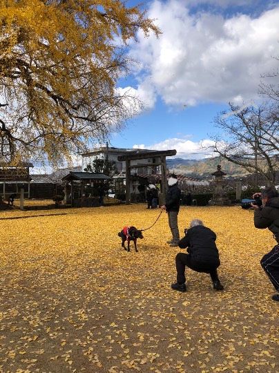 生き物ルーム第51