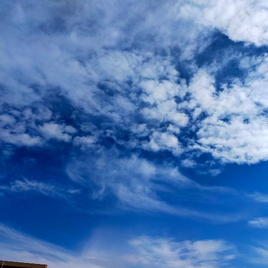 ★ドンキ♡♡ロピア 雑談51★