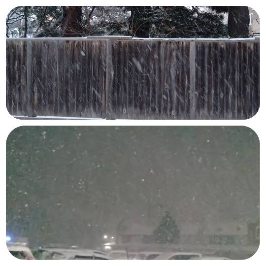 マスク同窓会詰所兼ニューフェイス歓迎所33(優しさ)