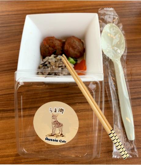 生き物ルーム第52