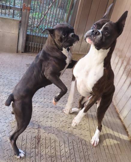 生き物ルーム第53