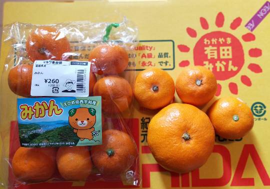 ★ドンキ♡♡ロピア 雑談55★