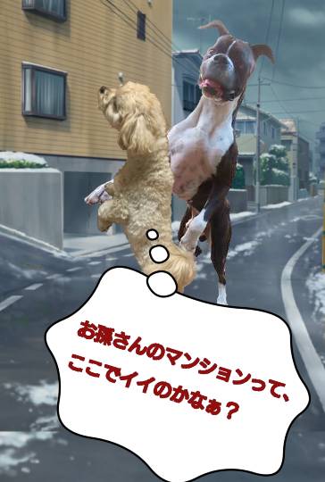 生き物ルーム第52