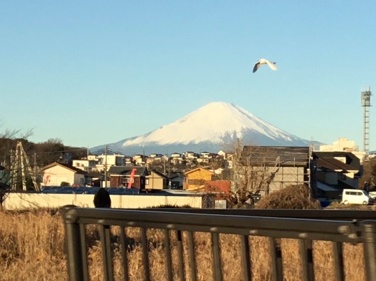 ★ドンキ♡♡ロピア 雑談54★