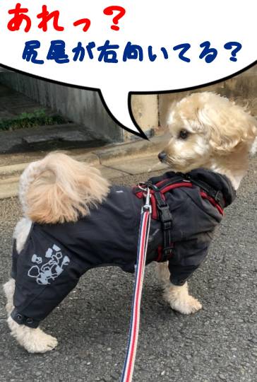 生き物ルーム第52