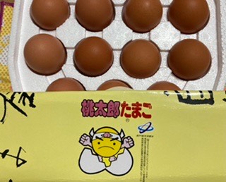 謹賀新年　2022 大トラはおるか？